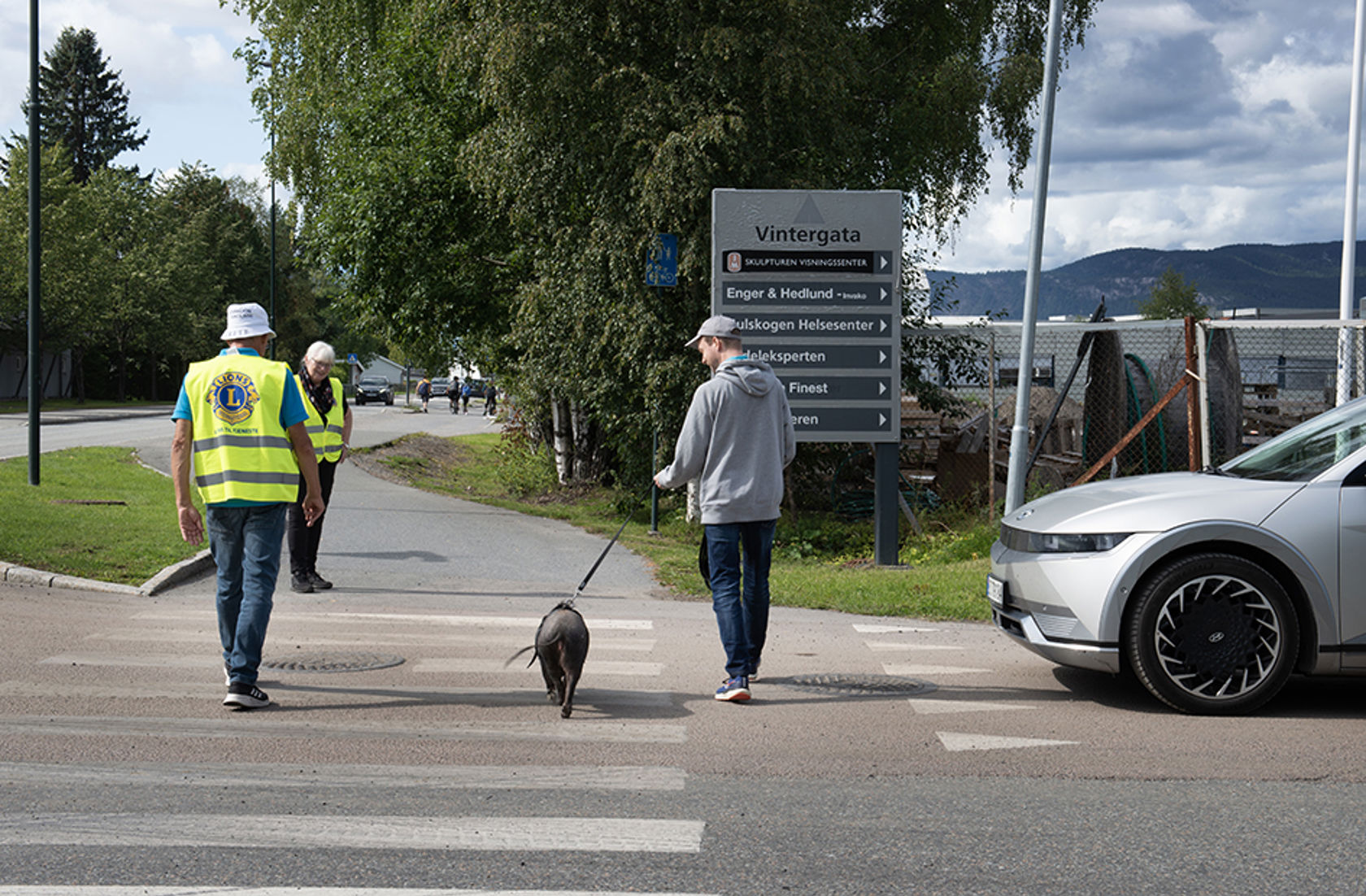 Trafikkvakt hjelper mann med gris i bånd å krysse gata